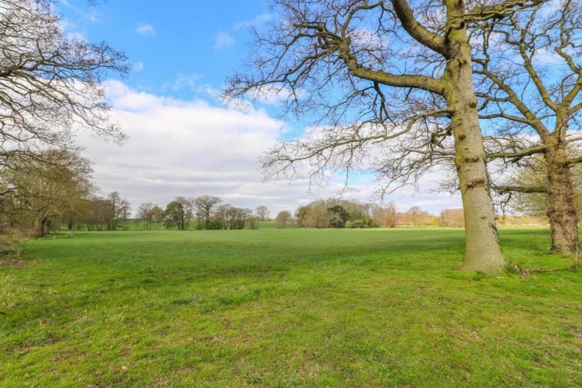 The Pig Barn - foto 21