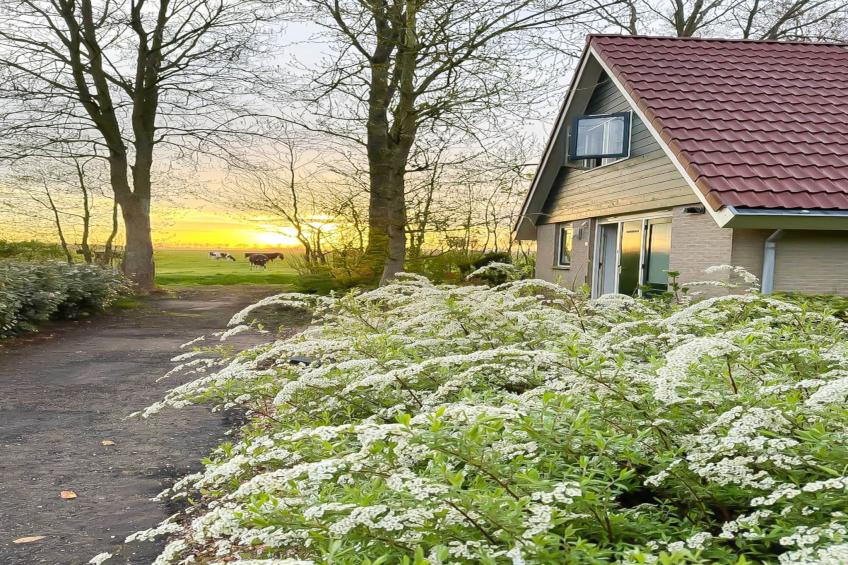 Zon in de duinen - 33 - foto 28