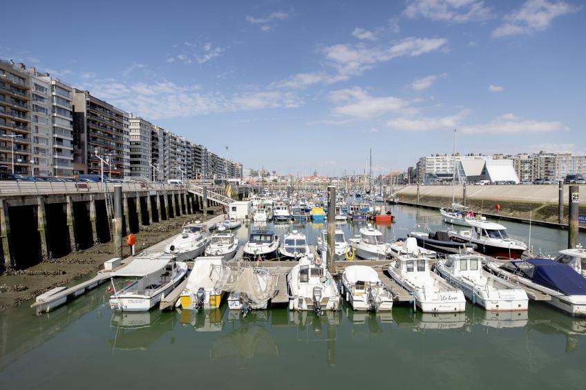 Studio Pacific with parking - foto 23