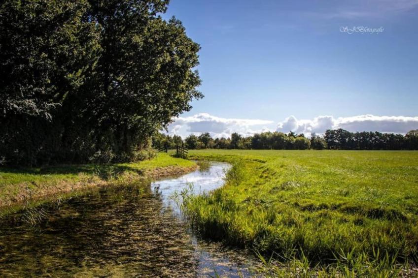 Park Wijdenes 4 - foto 36