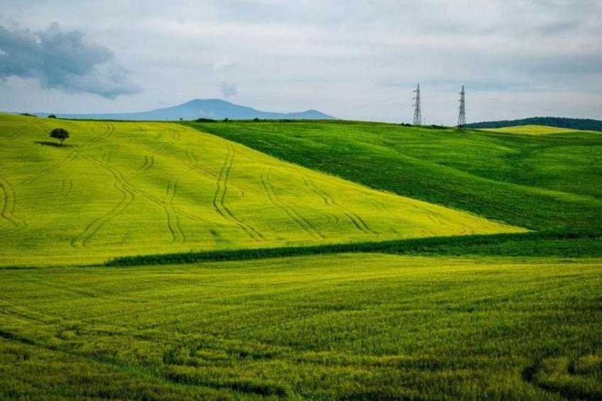 Portico della Volpe - foto 19