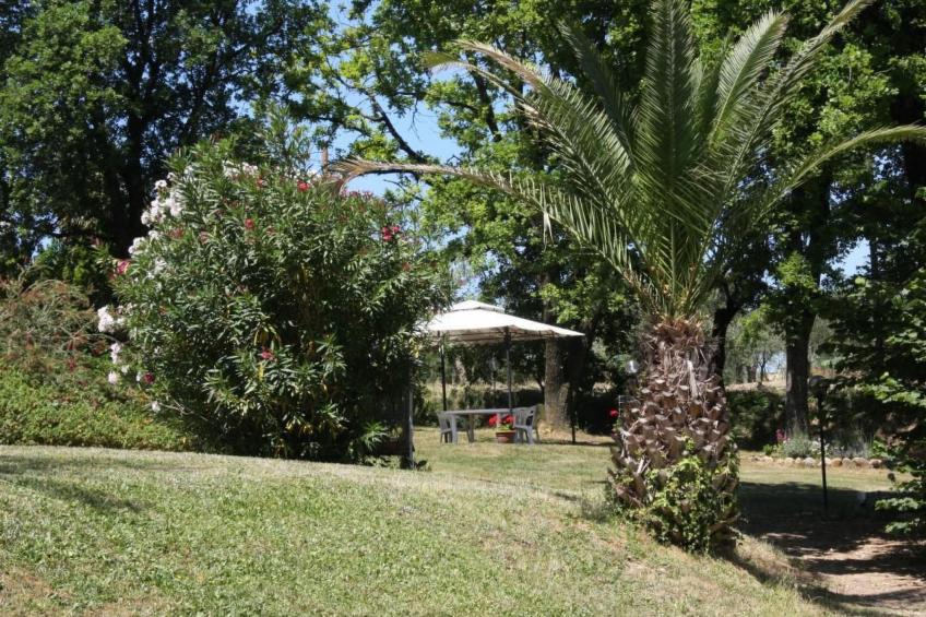 in Basetti mit Garten und Grill - foto 18