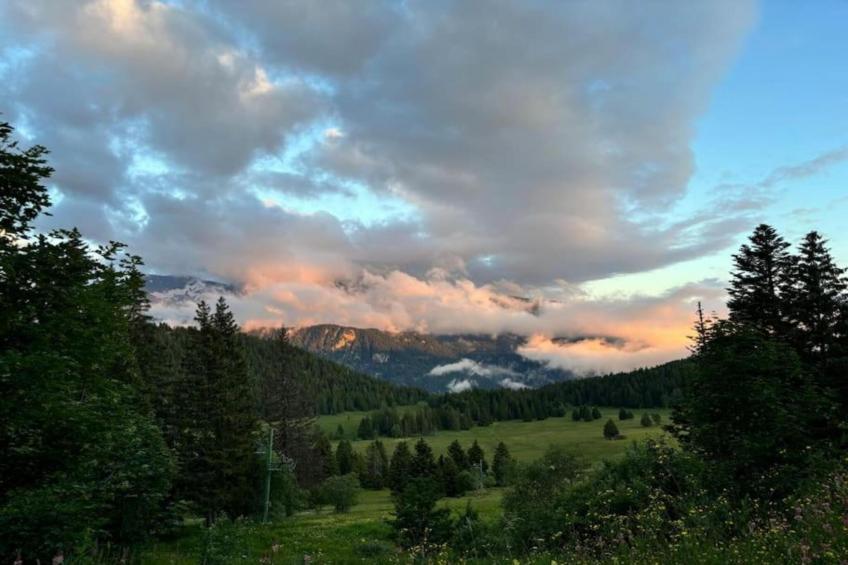 V du Bachat Asters E N°11 - 2P6 - foto 17