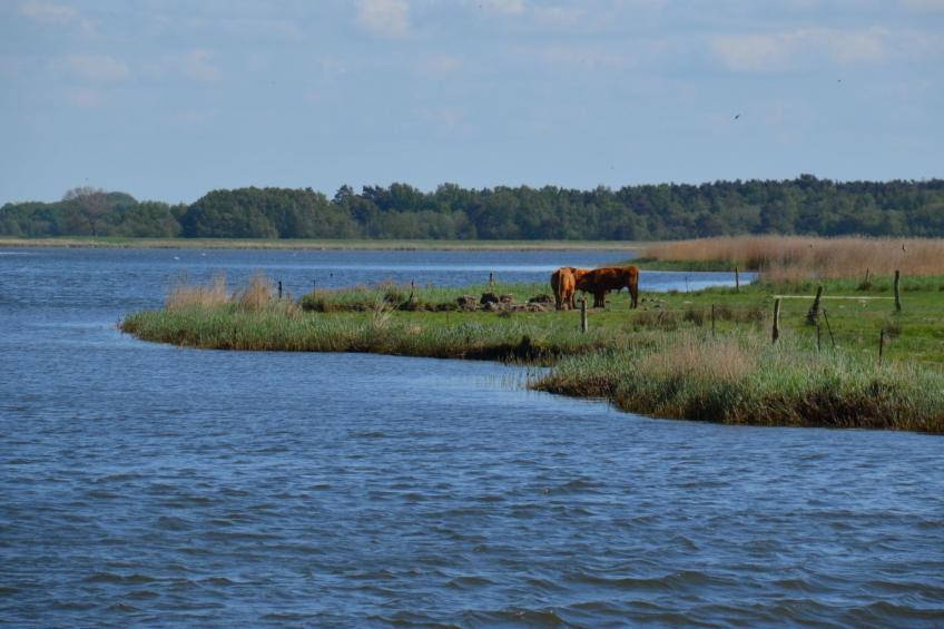 Wohnung für vier Personen im Erdgeschoss - foto 12