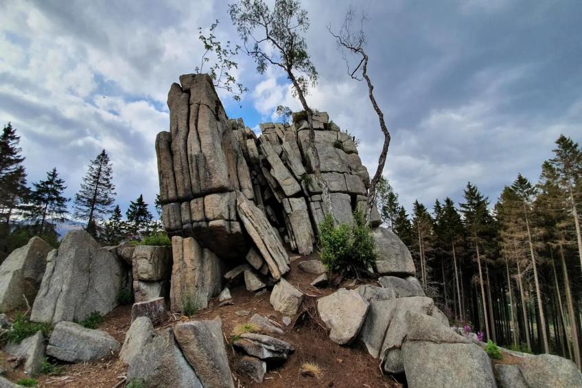 Holiday homes im Schierke Harzresort, Schierke - Type A - foto 28