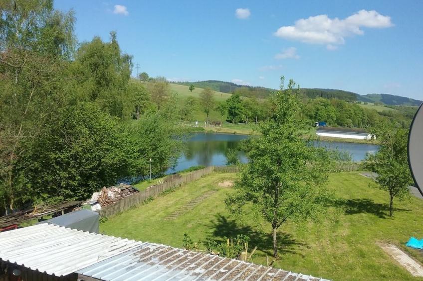 184923 - foto 10