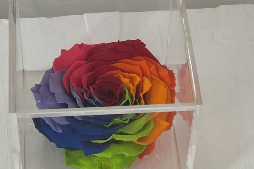 Wohnung in Caprino Veronese mit Garten - foto 63