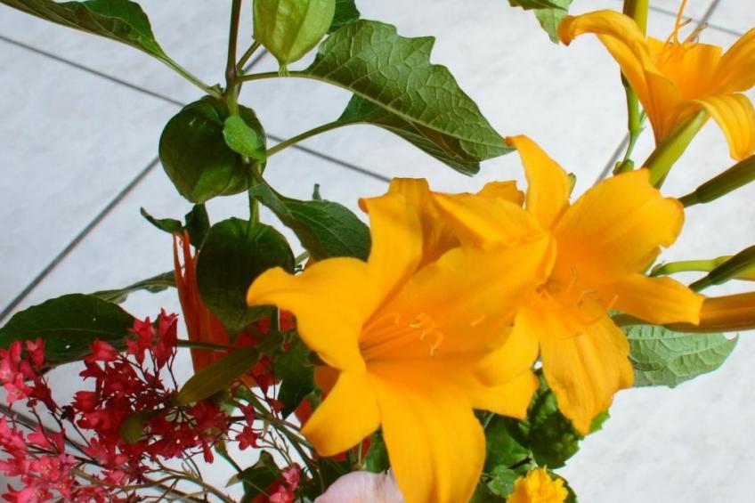 La Maison Bleue im Zentrum des Elsass in Bergheim - foto 5