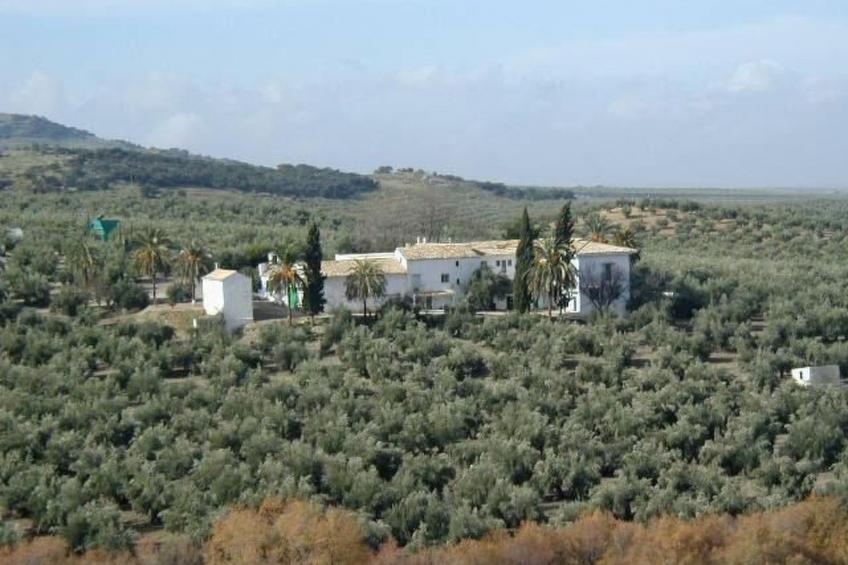 Haus La Cateta - foto 11