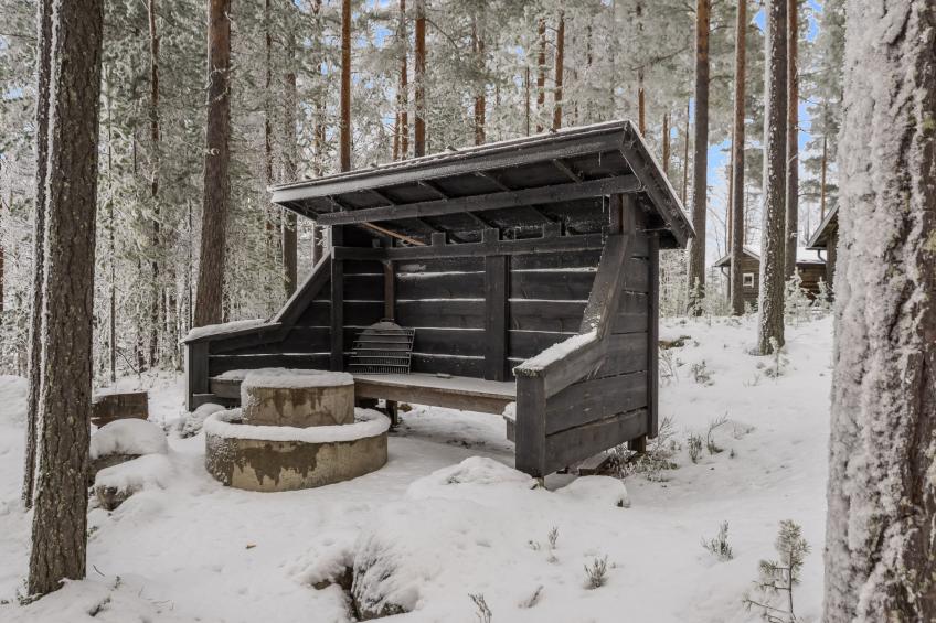 Luhtalemmikki - foto 23