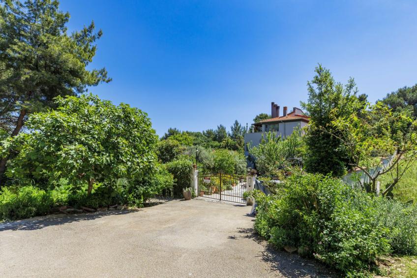 Villa Irma - foto 48