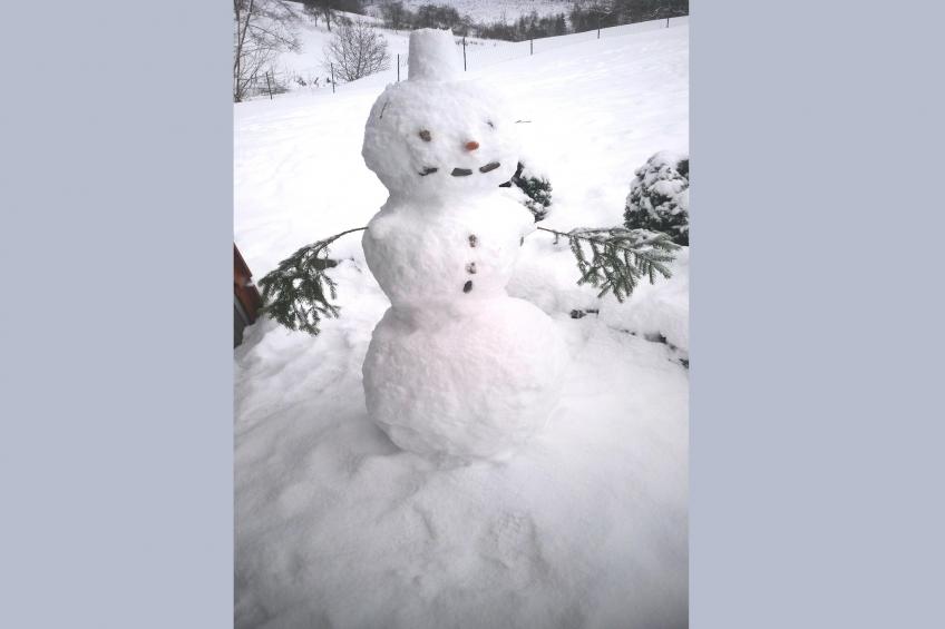 Murmeltier - foto 30