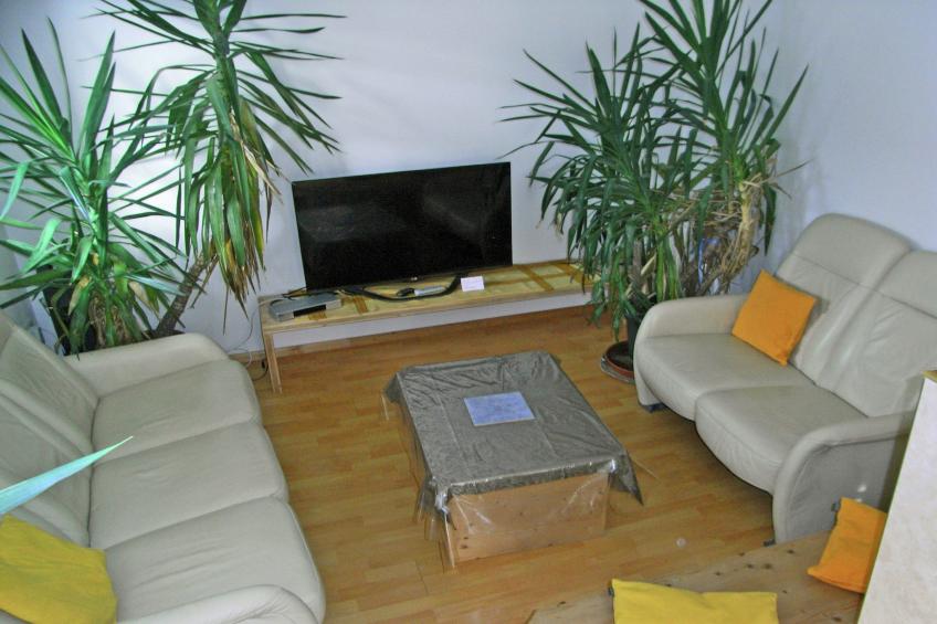 Hollaus 2 - foto 9