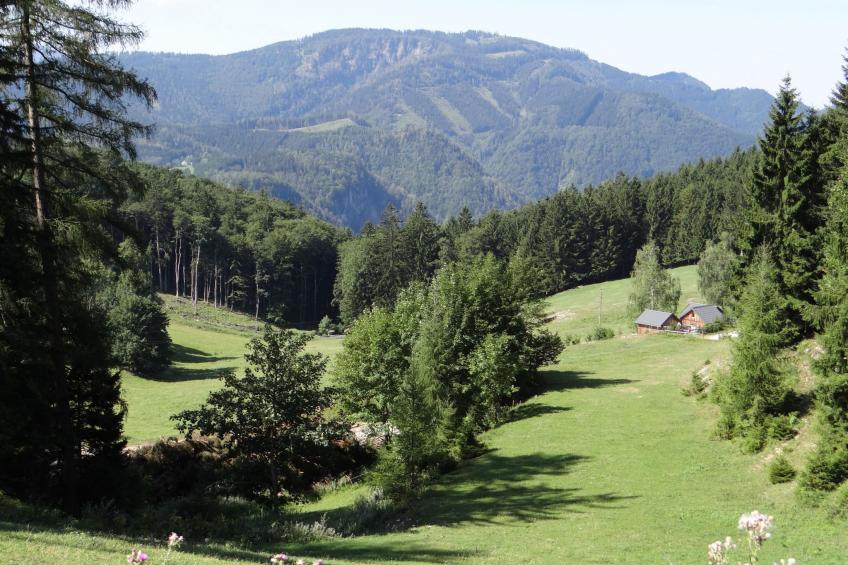 Haus König FEWO - foto 18