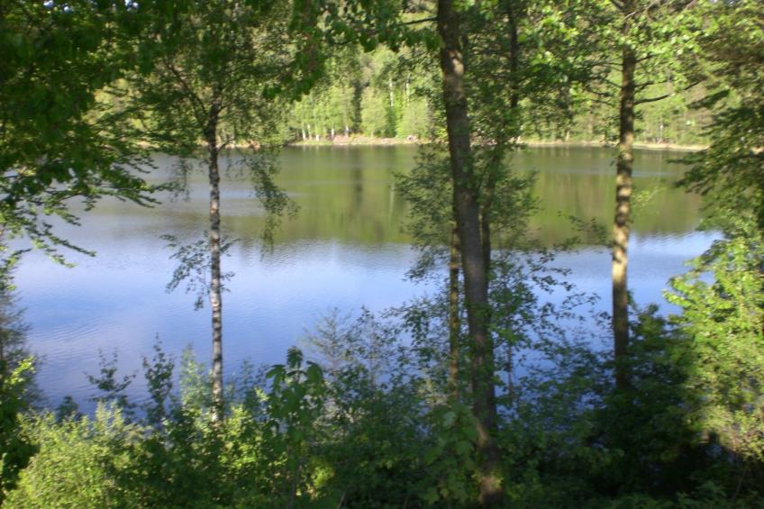 Ambiente in Homberg ot Welferode - foto 22