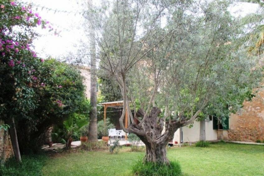 Garten Appartment - foto 3