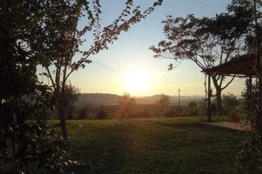 Haus mit Gartenblick - foto 12