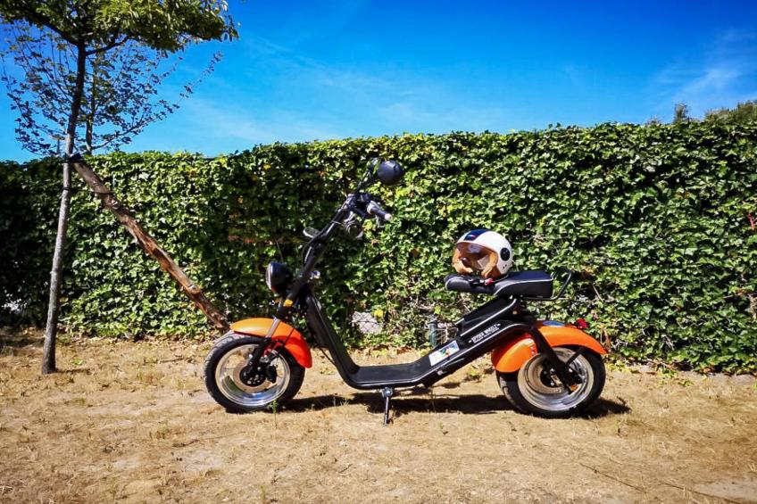 Berck sur Mer 12 - foto 14