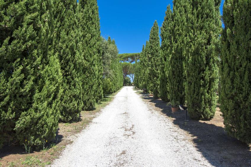 Podere Tre Termini (CEC172) - foto 4