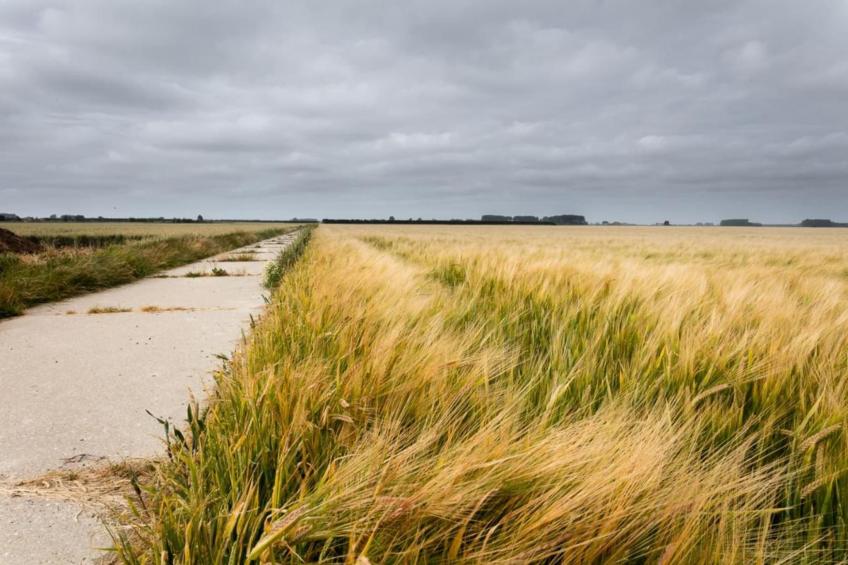 Biezenpolder - foto 31