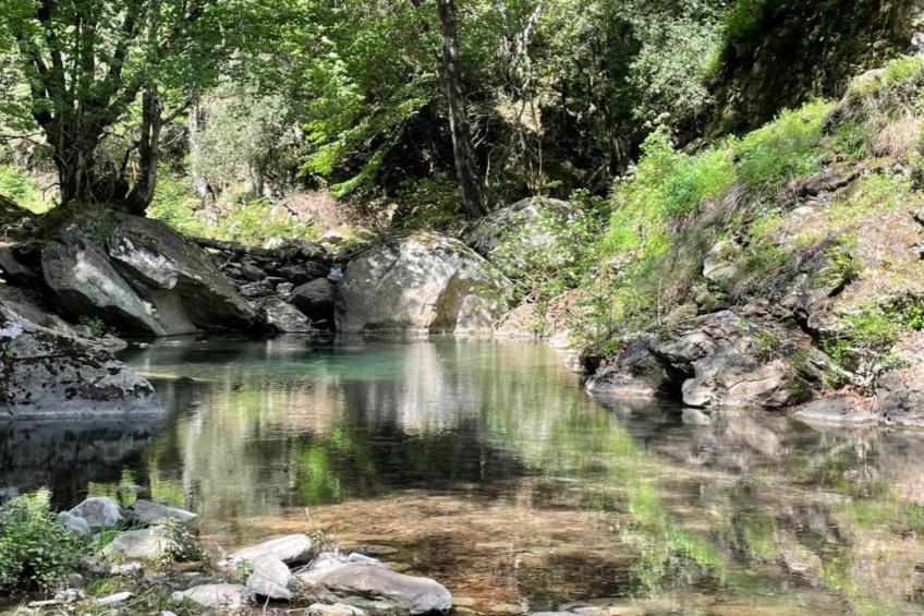 L'air de la mer tout près - foto 17