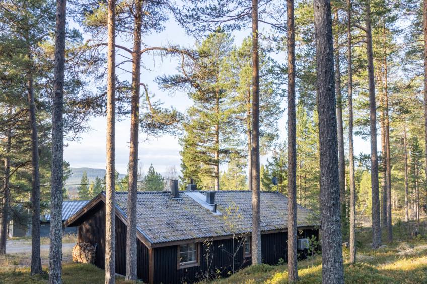 Fjällnästet - foto 22