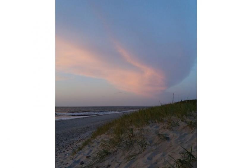 291920 - foto 17