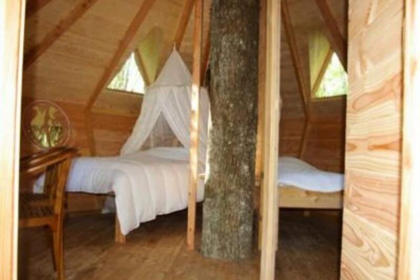 Parc de la Belle - foto 13