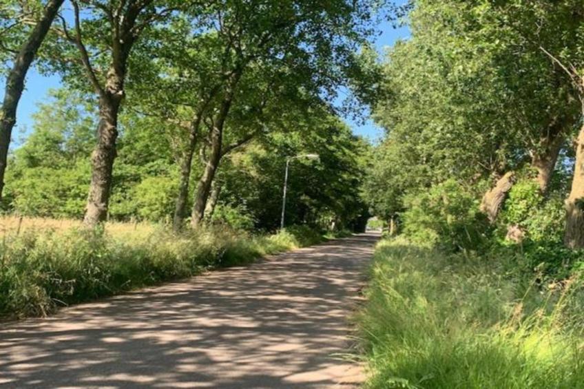 Recreatiepark Wiringherlant - Wiringher Chalet 1 - foto 36