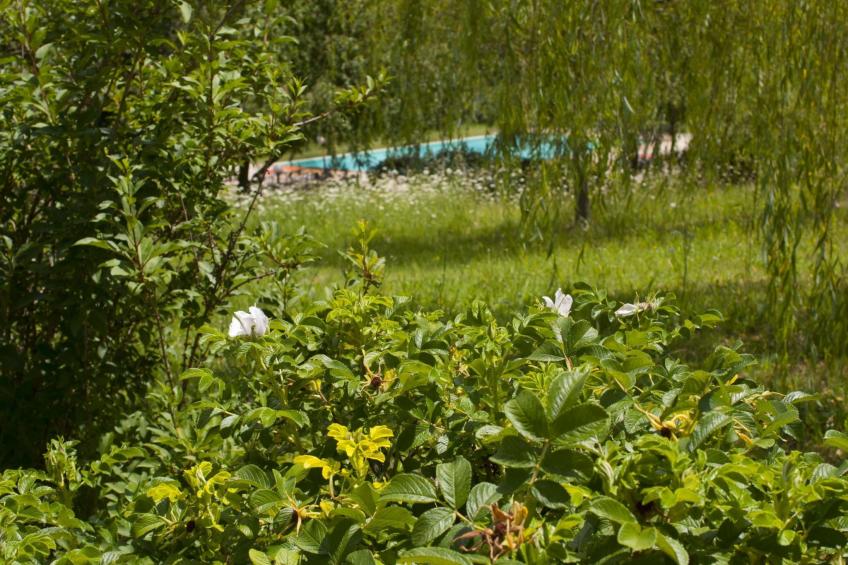 Anwesen "Frantoio" mit Infinity-Pool - foto 28