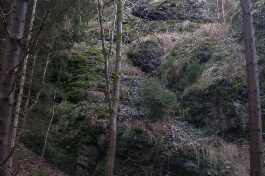 Appartement in Elbersreuth mit Garten - foto 24