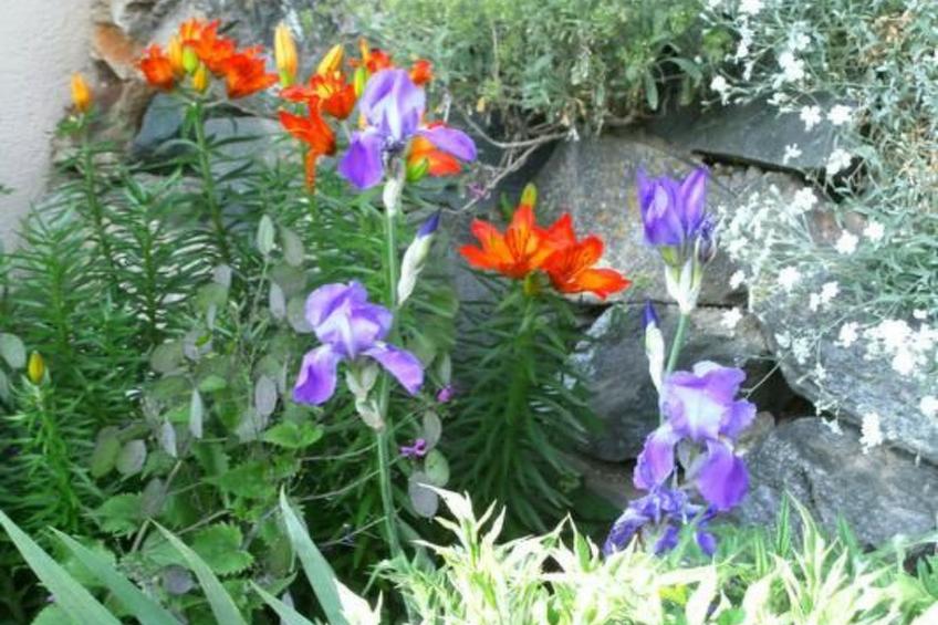 Ferien im grünen rechts - foto 17