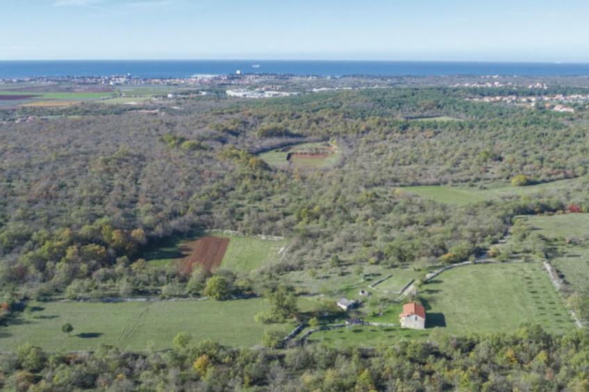 Das Haus im Wald - foto 2