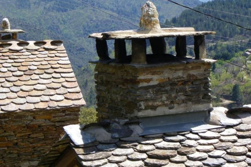 Wohnung "Saint Andre de Lancize" mit Terrasse - foto 16