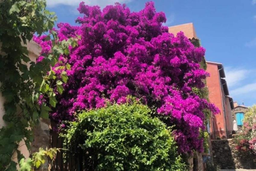 66b - Bel Appartement à 800m De La Mer Avec Parking Privé - foto 16