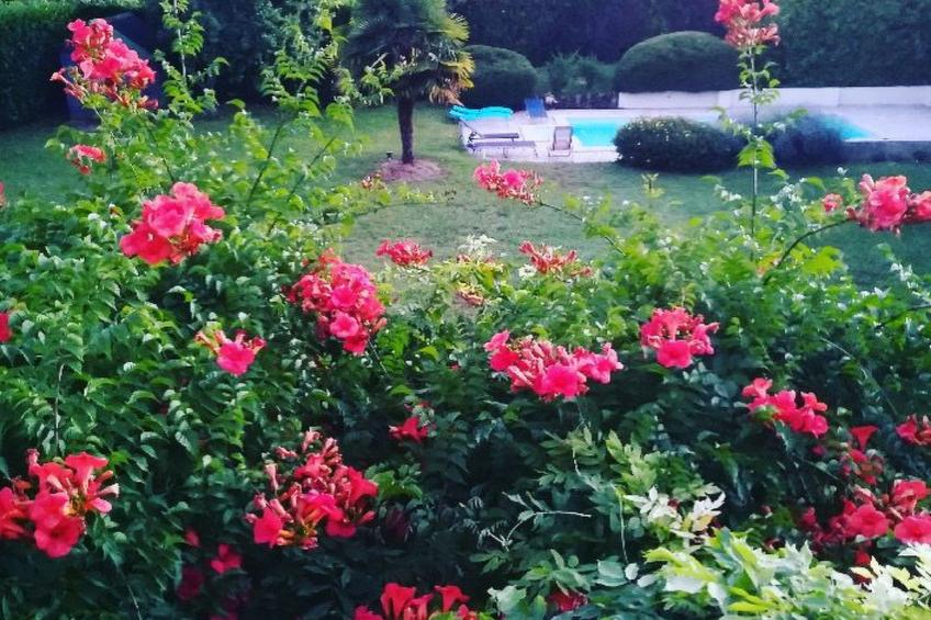 Ehemaliger Bauernhof Le Bonheur in Sainte-Mondane - foto 13