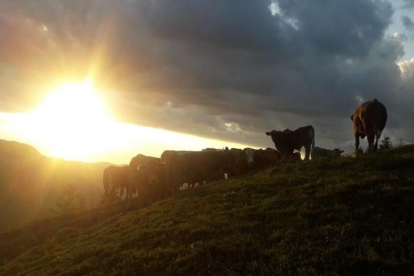 Ferien im Gugger - Wohnung Stockberg - foto 26