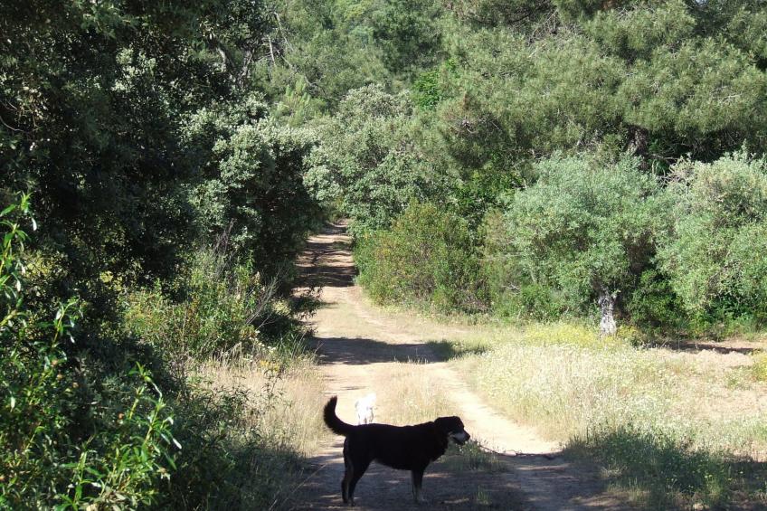 Finca El Chorrillo Studio - foto 42