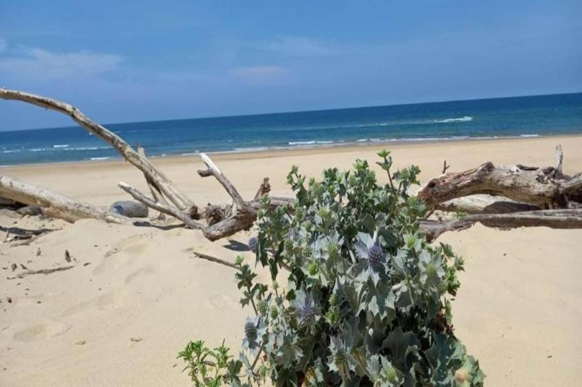 Residence Open Sud - foto 40