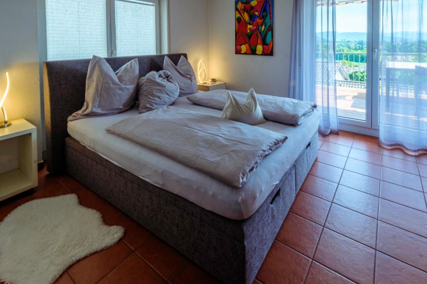 Apartment mit Terrasse nahe Schweizer Grenze - foto 7