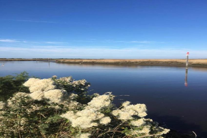 Les Rives Marines - foto 34