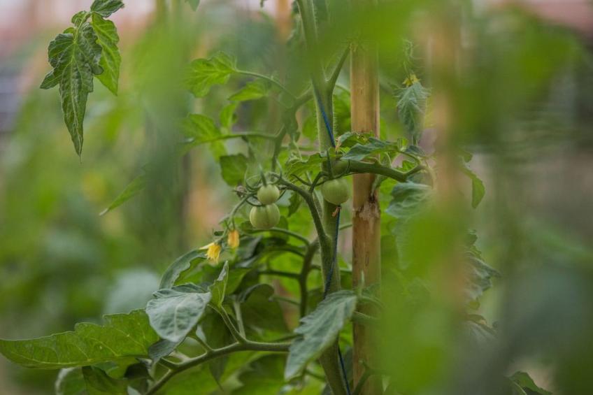 Haus in Arkadii mit Innenbalkon - foto 51