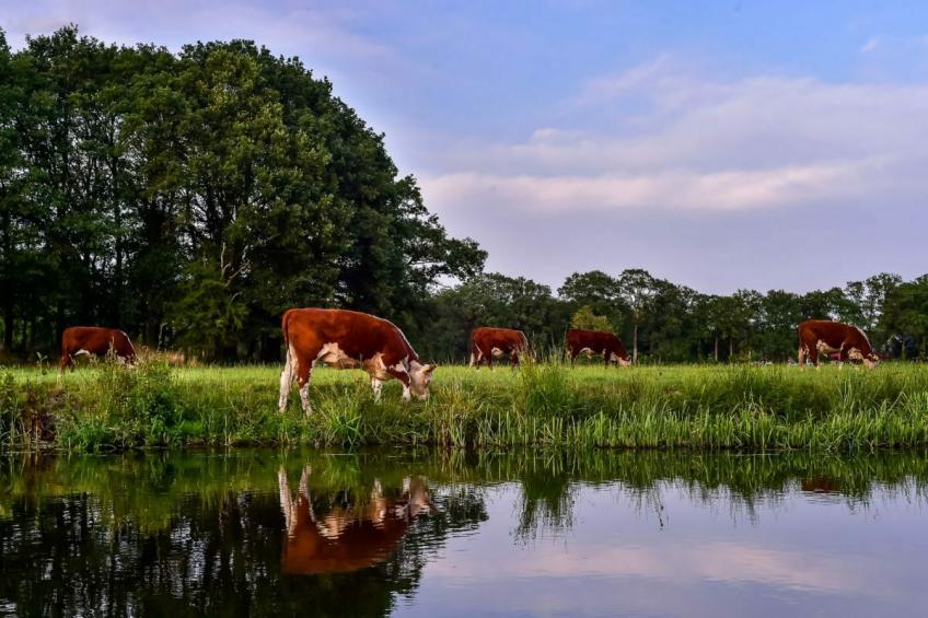 Safaritent met privé sanitair ~ met weids uitzicht - foto 24