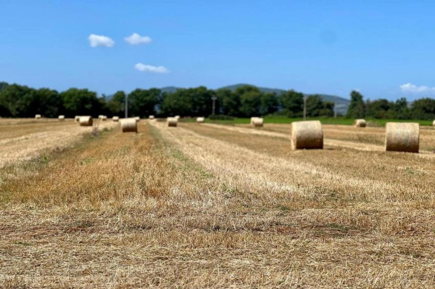 Frantoio 1 - foto 27