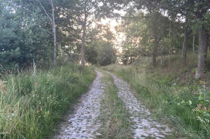 Alte Dorfschule - foto 30