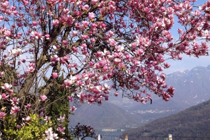 Casa Ranica mit Pool - foto 7