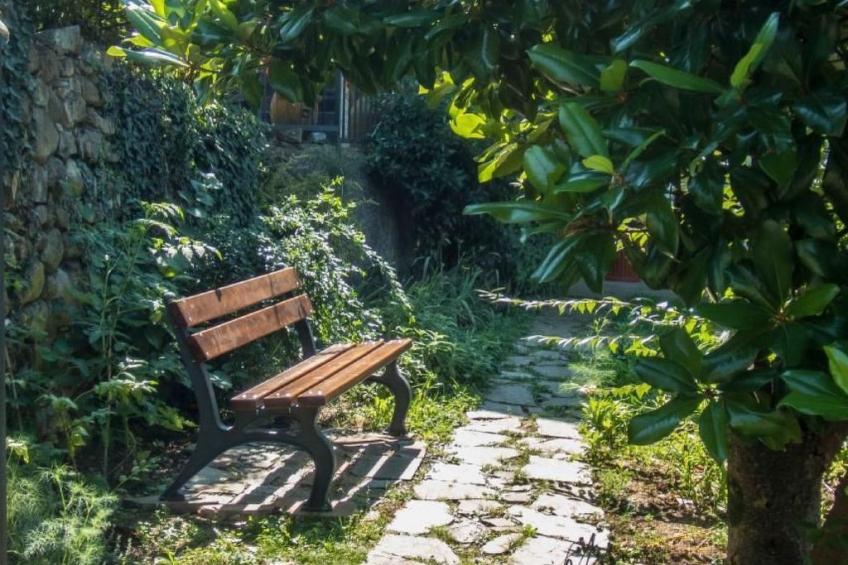 Unabhaengige Wohnung in Velva mit Garten und Grill - foto 23