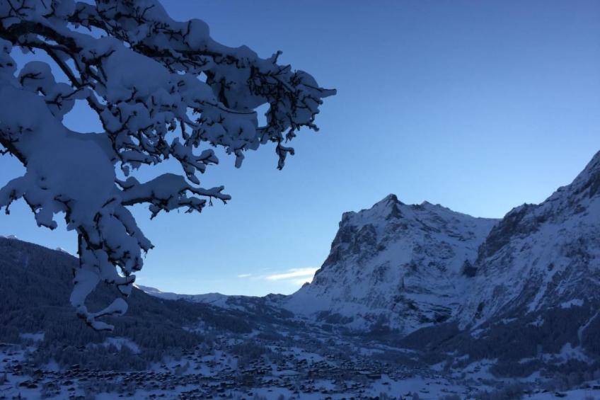 Chalet am Bühl - foto 40
