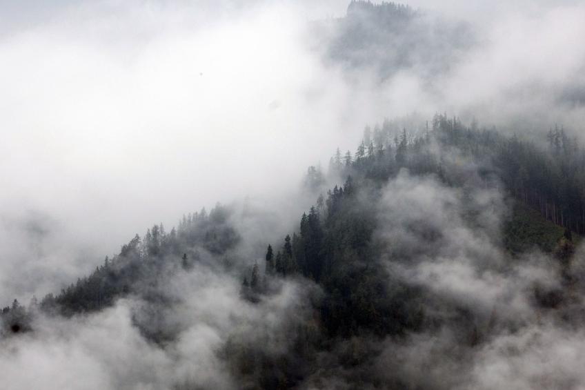 Moderne Wohnung in Pöls mit großer Terrasse - foto 26