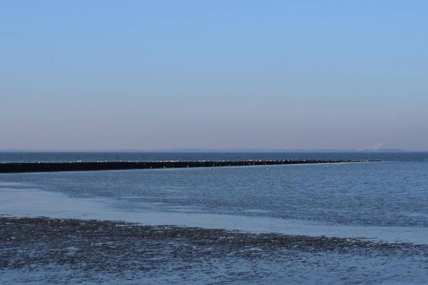 in Sehestedt mit Garten - foto 15